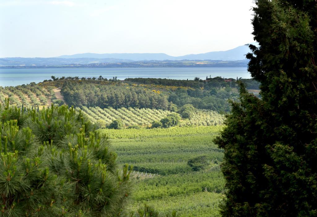 Agriturismo San Severo Villa Passignano sul Trasimeno Eksteriør billede